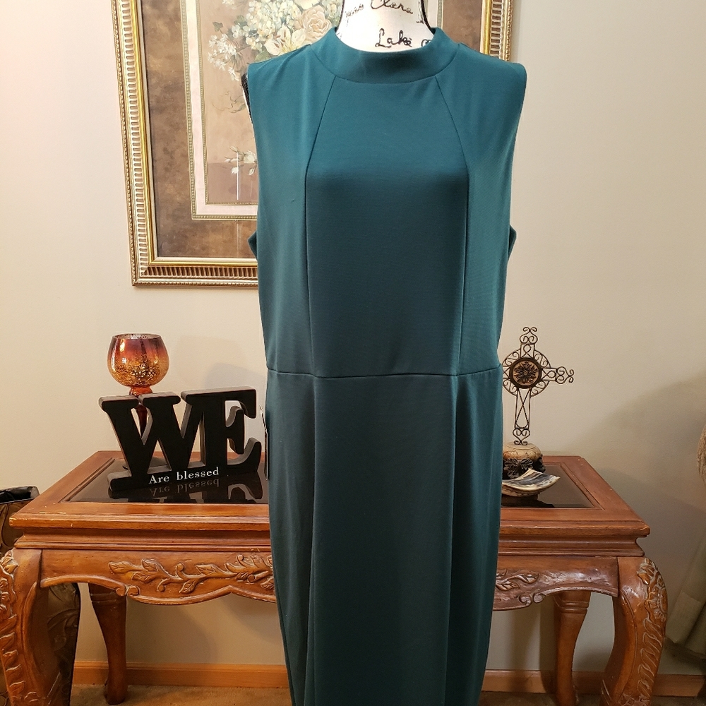 *NEW* THE LIMITED dress